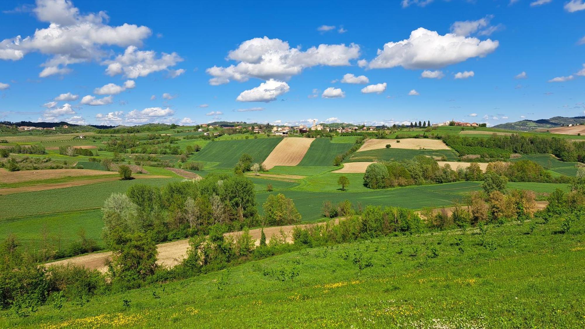Cascina Fazioli Alfiano Natta Exterior foto